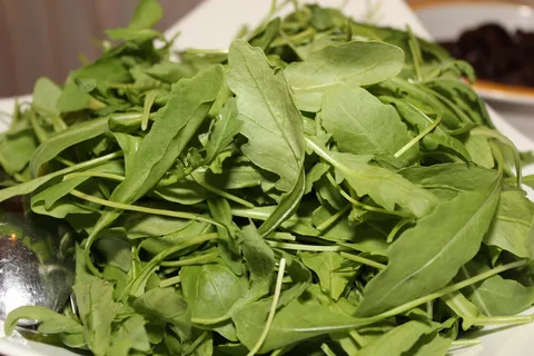 火箭,沙拉,自助餐,冷餐,吃,食物,开胃菜,受益于 火箭,沙拉,自助餐,冷餐,吃,食物,开胃菜,受益于
