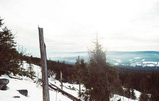 德国，bischofsgrüner forst，ochsenkopf，针叶树，落叶，生态，生态系统，环境