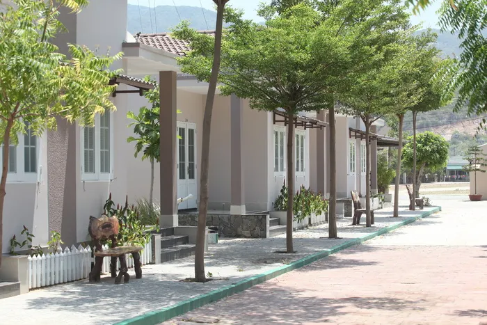 越南，树，街道，白天，下午，方法书，建筑，房子