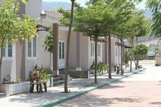 越南，树，街道，白天，下午，方法书，建筑，房子