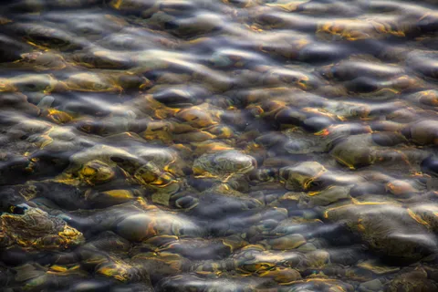 海滩，黄金，海洋，户外，岩石，海洋，海岸，日落