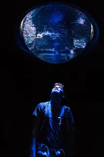 向上看的人，夜晚，太空，室内，蓝色，科学，一个人，天文学