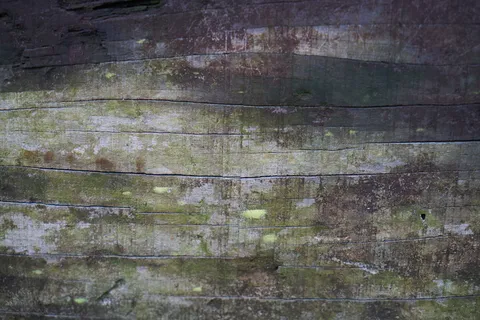 木纤维板，纹理，镶木地板，图案，棕色，细节，旧，背景