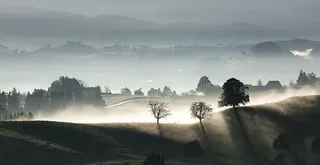 雾，风景，雾，山，户外，全景，剪影，树