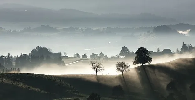 雾,风景,雾,山,户外,全景,剪影,树 雾,风景,雾,山,户外,全景,剪影,树