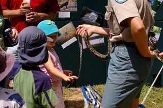 蛇，蟒蛇，儿童，会议，触摸，学习，野生，流浪者