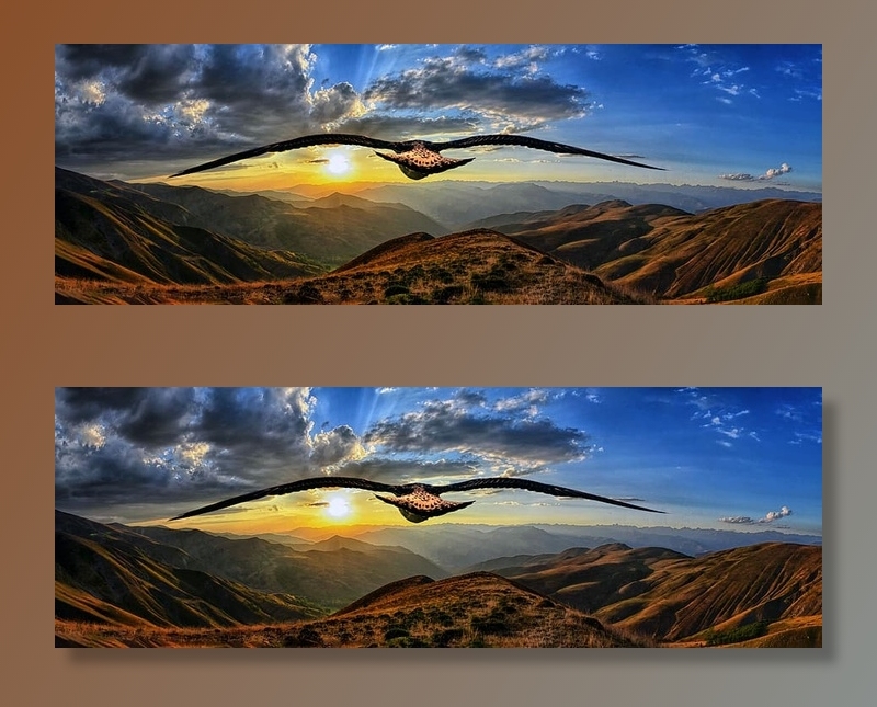 棕色鸟画，鸟，山，风景，日落，俯瞰，山的高度