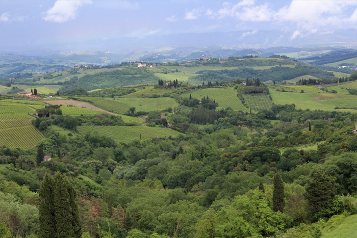 意大利、基安蒂、基安蒂的格雷夫、酒园、丘陵、托斯卡纳、乡村、树木