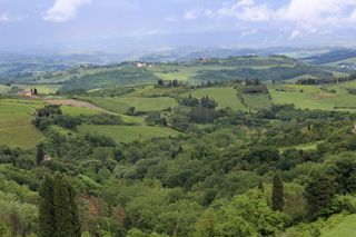 意大利、基安蒂、基安蒂的格雷夫、酒园、丘陵、托斯卡纳、乡村、树木