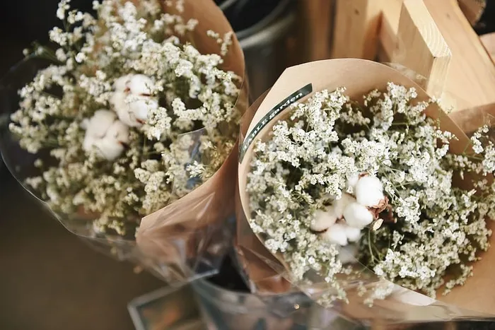 花，花束，礼物，束，纸，花，开花植物，植物