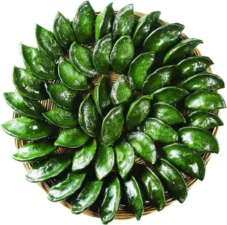 绿色，蔬菜，篮子，不给糖就捣蛋，发送，邮寄，所有，发送邮件