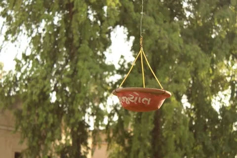 布吉，印度，饮水机，鸟水碗，鸟碗，鸟喂食器，喂食动物，特写