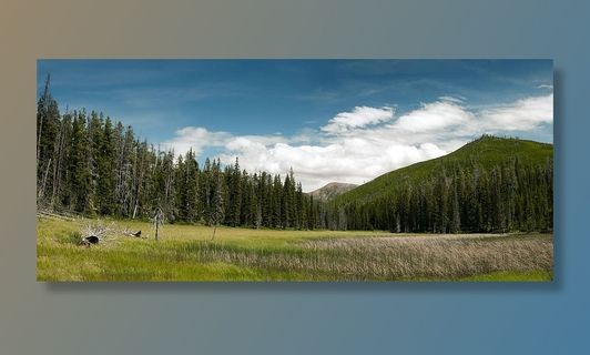 美国，饥饿的马，鲍勃·马歇尔荒野，植物，树木，土地，云天，风景