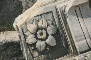 意大利，罗马，罗马论坛，罗马论坛，花，罗马，石头，没有人