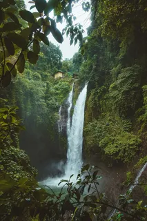 瀑布周围绿叶植物的景观摄影 瀑布周围绿叶植物的景观摄影