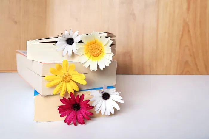 花卉，开花植物，植物，室内，黄色，餐桌，新鲜度，容器