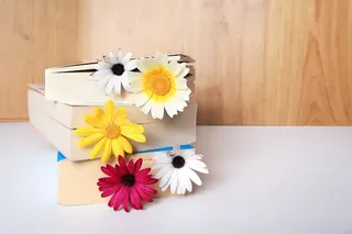 花卉，开花植物，植物，室内，黄色，餐桌，新鲜度，容器