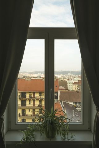 家居装饰，窗户，捷克*，布拉格，窗帘，airbnb，旅行，窗帘