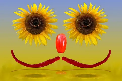 新鲜，花，太阳，向日葵，香味，花园，盛开，黄色