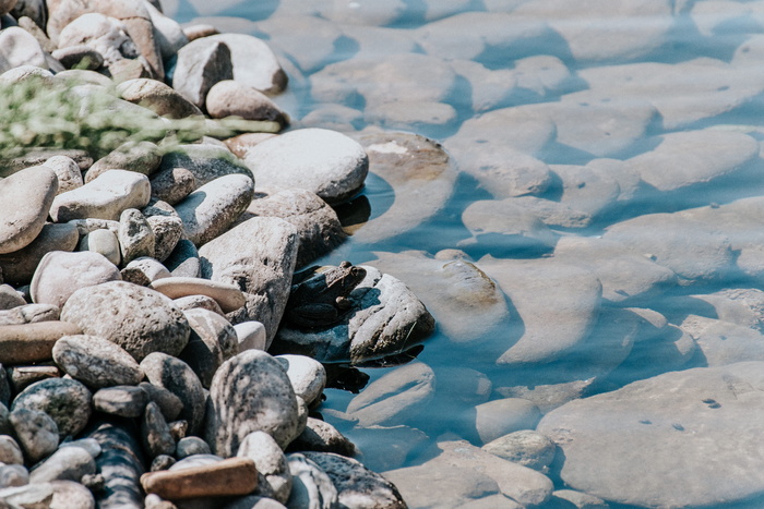 灰色石头，俄罗斯，索契，索契奥林匹克公园，灰色，卵石，岩石，碎石