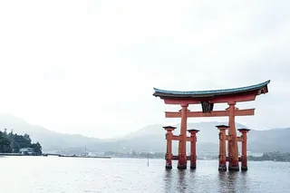 itsukushima神社，白天，大海，海洋，水，海浪，自然，山脉