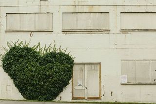 绿色，灌木植物，正面，建筑，建筑，基础设施，结构，设施