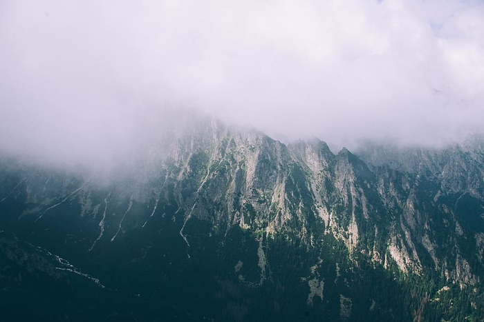 山，雾，雾，雾，雾，绿，雾，广阔，山