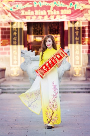 奥戴，越南人民，越南美女，越南女人，传统服饰，年轻女人，黄色裙子，一个人