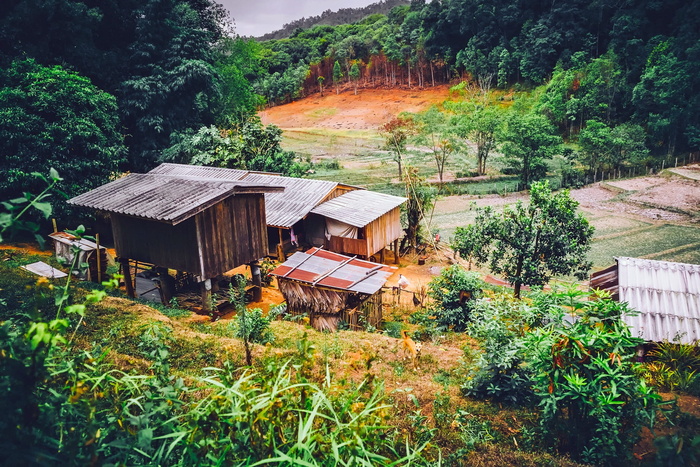 泰国、小屋、住宅、棚屋、建筑、农场、热带、热带