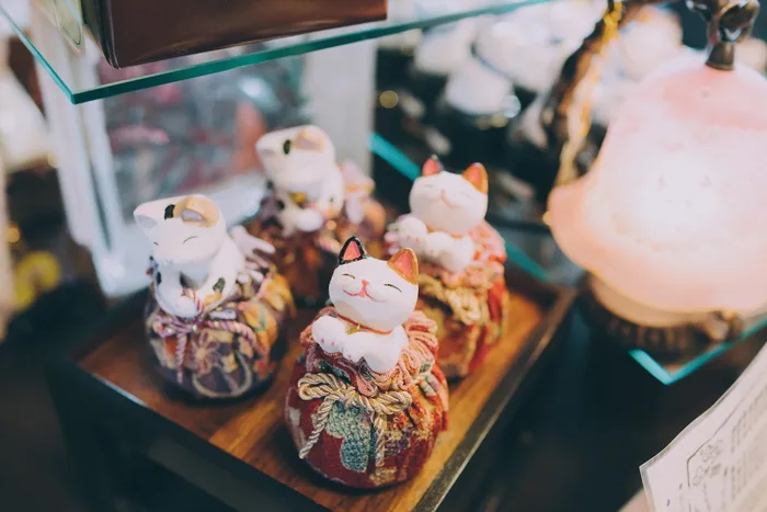 猫，猫，零售，待售，商店，无人，甜食，食物