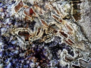 灰色、紫色、晶洞、半宝石、玛瑙、砾岩、红色、玛瑙砾岩