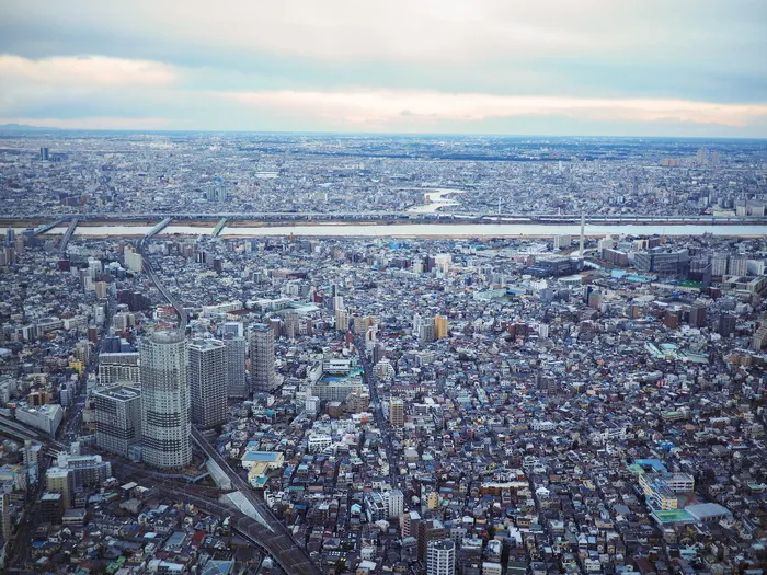 城市，建筑，摩天大楼，地平线，东京，天树，高，天空