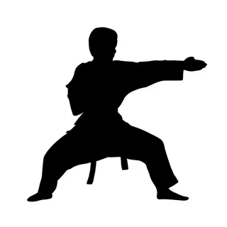 武术家的剪影。 武术家的剪影。