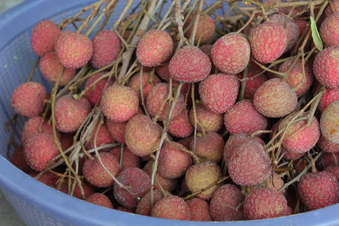 荔枝，水果，*，食品，新鲜，成熟，有机，红色