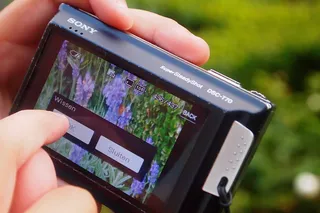 相机，照片，爱好，擦除，查看，摄影，人手，手