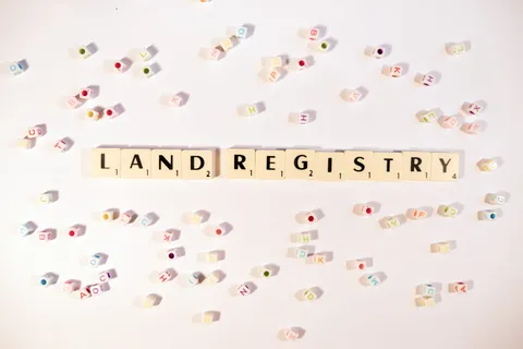 土地注册、房地产、术语、拼字、文档、白色背景、摄影棚快照、室内