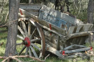 前者，手推车，运输，木材，车轮，运输，运输方式，废弃