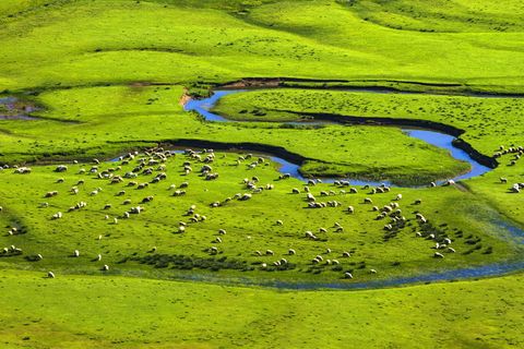 没有人，自然，草地，景观，水体，高原，军队，户外