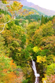 日本,秋山镇,河碧口瀑布,秋叶,阔叶林,山谷,瀑布,未开发地区 日本,秋山镇,河碧口瀑布,秋叶,阔叶林,山谷,瀑布,未开发地区