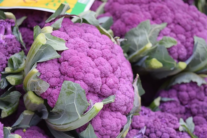 紫色花椰菜摄影，蔬菜，蔬菜，花椰菜，紫色，紫色，食品和饮料，健康饮食