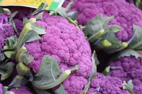 紫色花椰菜摄影,蔬菜,蔬菜,花椰菜,紫色,紫色,食品和饮料,健康饮食 紫色花椰菜摄影,蔬菜,蔬菜,花椰菜,紫色,紫色,食品和饮料,健康饮食