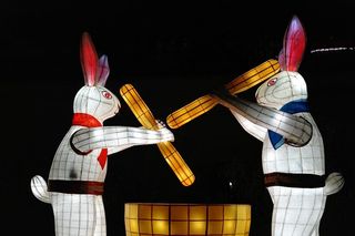 兔子，月亮，童话，夜空，夜晚，传统，灯笼，节日