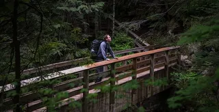 自然，人，人，桥，冒险，徒步旅行者，徒步旅行，户外