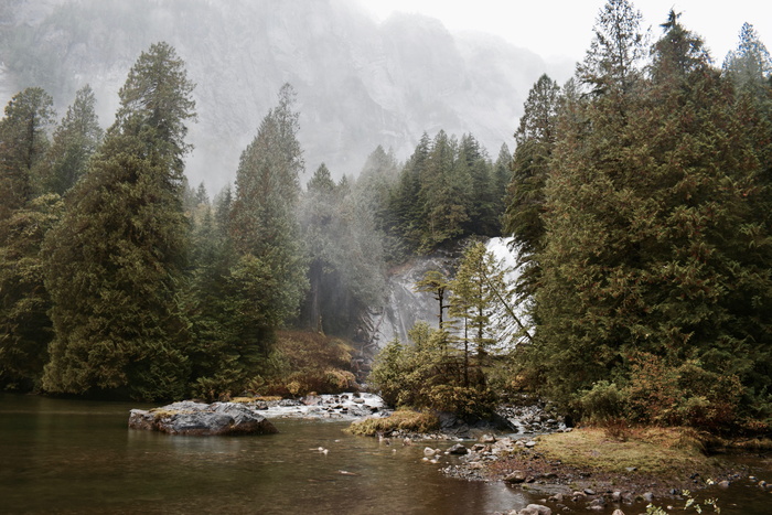 加拿大，查特博克斯瀑布，雨林，瀑布，小湾，树木，雨水，水