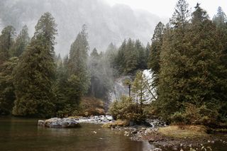 加拿大，查特博克斯瀑布，雨林，瀑布，小湾，树木，雨水，水