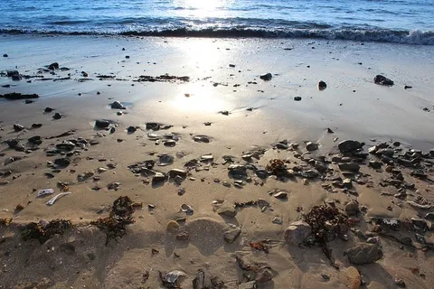 海滩，海岸，沙子，水，海，潮汐，岩石，反射