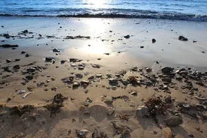 海滩，海岸，沙子，水，海，潮汐，岩石，反射