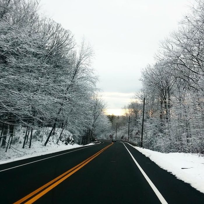 笔直的，道路，无叶的树，覆盖的，雪，小路，树，树枝