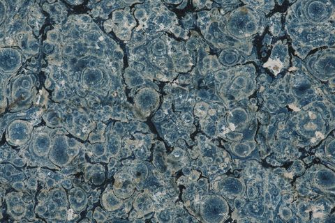 摘要、背景、背景、空白、蓝色、书籍、画布、颜色