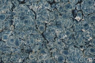 摘要、背景、背景、空白、蓝色、书籍、画布、颜色